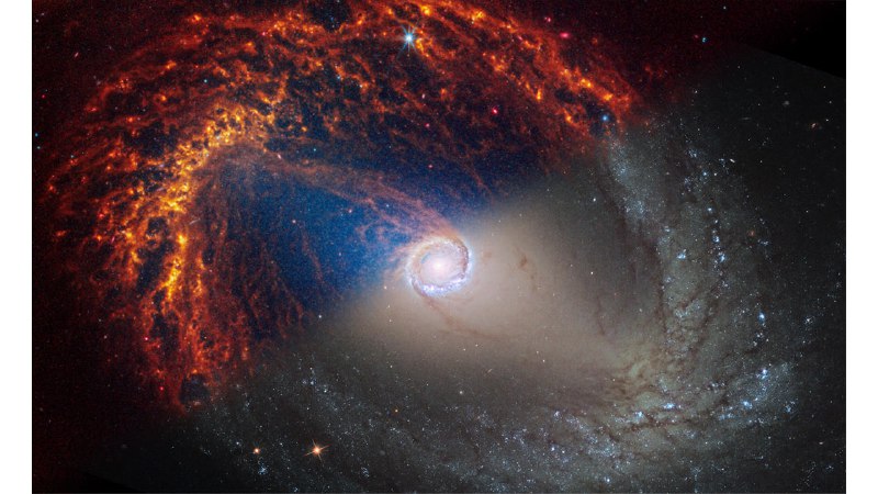 韦伯太空望远镜公布 19 个正对我们的螺旋星系照片这些照片是邻近星系高角分辨率物理 (PHANGS) 项目的一部分，该计划得到了全球 150 多名天文学家的支持