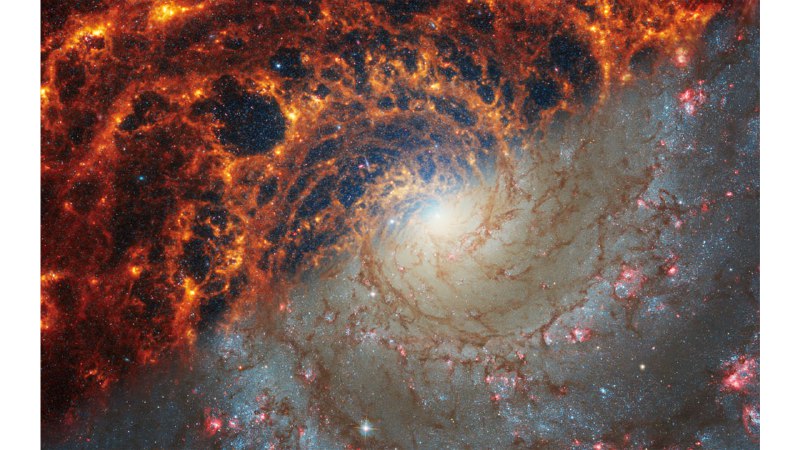 韦伯太空望远镜公布 19 个正对我们的螺旋星系照片这些照片是邻近星系高角分辨率物理 (PHANGS) 项目的一部分，该计划得到了全球 150 多名天文学家的支持