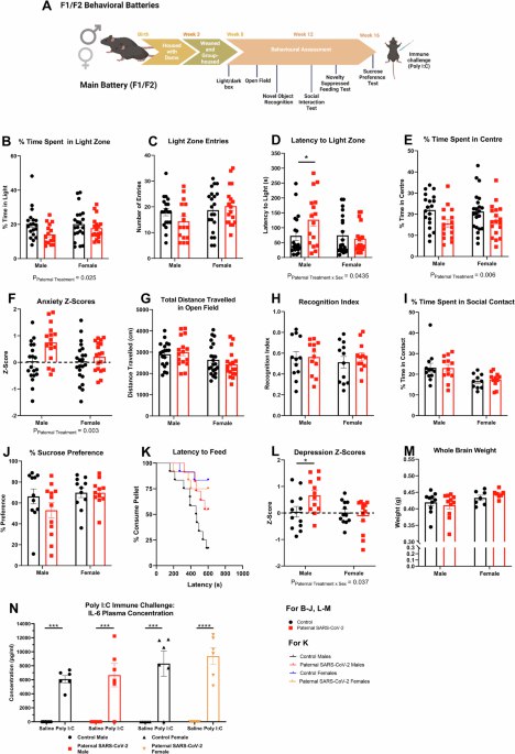 父系新冠感染影响精子小非编码 RNA 并增加后代焦虑研究发现，父系在受孕前感染新冠病毒，会以性别依赖的方式影响后代的焦虑样行为