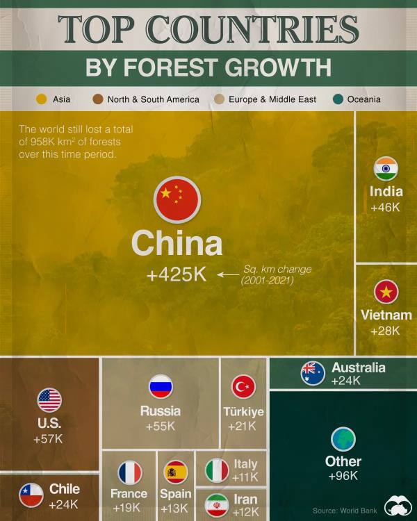 中国成为2001~2021 年以来森林增长最多的国家在过去的二十年里，越来越多的国家开始重视环保和绿化，并重新修补过去破坏的森林
