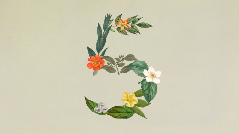  Claude Sonnet 5 发布Anthropic 发布 Claude Sonnet 5，称其是迄今代理能力最强的 Sonnet 模型，可规划、使用浏览器和终端等工具并自主运行