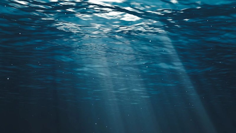 微塑料侵入深海热液喷口 92% 受检动物体内检出韩国生物科学与生物技术研究院领衔的团队在《Water Research》发文称，于西南太平洋和印度洋约 2000 米深的深海热液喷口附近，从蜗牛和贻贝等 4 种动物体内检出微塑料