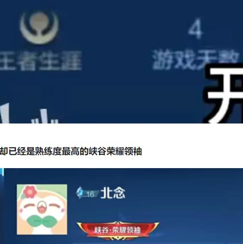 视频作者磊哥扒《王者荣耀》为拖游戏时长，研制出新型人机据称，该新型人机会伪装成高分玩家，并在游戏内进行各种奇怪操作并一定会拒绝投降，用以增加玩家游戏时长