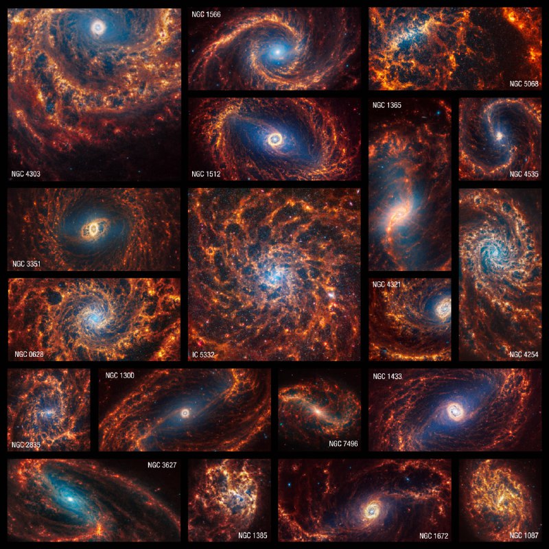 韦伯太空望远镜公布 19 个正对我们的螺旋星系照片这些照片是邻近星系高角分辨率物理 (PHANGS) 项目的一部分，该计划得到了全球 150 多名天文学家的支持