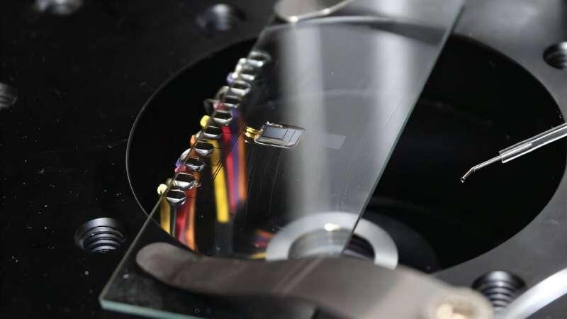 微型激光技术或将实验室检测带入您的家中瑞典查尔姆斯理工大学团队做出一块约 1 厘米 的微型激光芯片，把激光源和光学结构直接集成在同一块半导体芯片上，目标是把原本依赖实验室设备的生物检测做得更小、更便携，未来甚至用于医院外场景和部分家庭检测