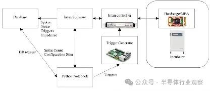 世界上第一个活体处理器Neuroplatform诞生瑞士初创公司FinalSpark 推出了 Neuroplatform，一种利用湿件计算和类器官智能的生物处理器