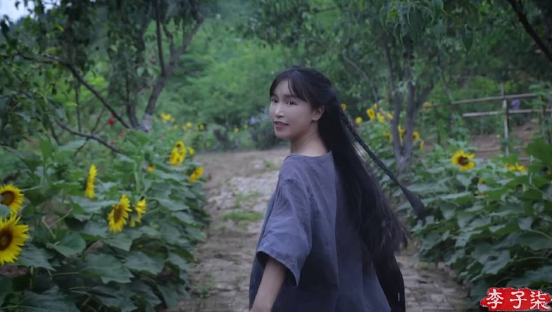李子柒国内粉丝暴跌 海外粉丝不降反升近日，有消息称李子柒在停更两年后将复出