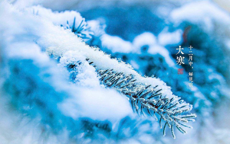 今日大寒：二十四节气收官，春节临近好多地方下雪了，晒晒图吧