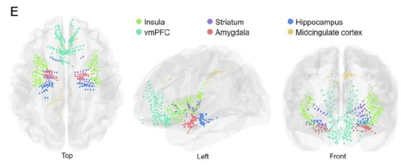 科学家首次用脑电极揭示人类逃生时的大脑回路中国科学家利用植入癫痫患者脑内的电极，首次直接观察到人类面临威胁时的逃生决策过程