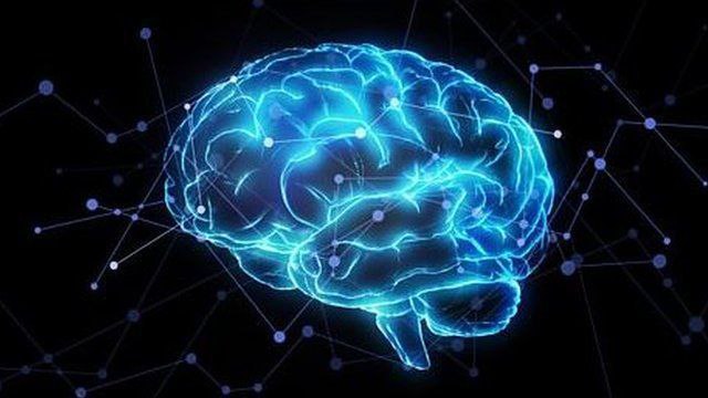 人脑类器官准确模拟自闭症，为治疗最复杂脑疾病带来希望为了发育，人类大脑会依赖一个独特过程建立错综复杂的分层和连接皮层，这一过程也使人类更容易出现神经发育障碍——许多自闭症谱系障碍（ASD）高风险基因就与皮层发育息息相关