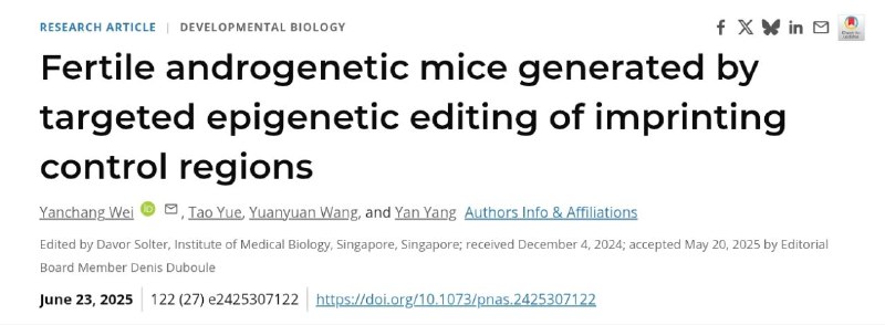 科学家通过编辑两枚精子的 DNA 成功培育出活体小鼠一项发表在《PNAS》（美国国家科学院院刊）上的最新研究显示，科学家通过精准编辑 DNA 的化学修饰（甲基化），首次成功利用两枚精子的 DNA 培育出活体小鼠