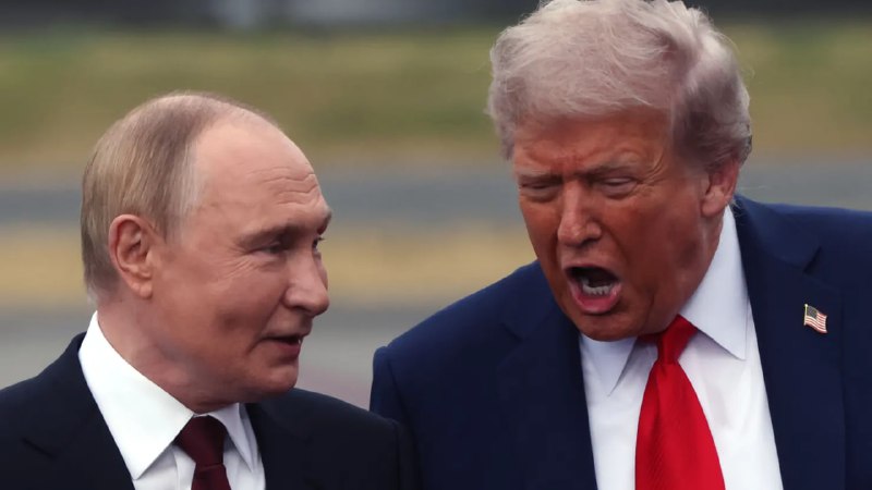 克里姆林宫证实普京受邀加入特朗普“和平委员会”克里姆林宫发言人佩斯科夫 1 月 19 日证实，俄罗斯总统普京已收到美国总统特朗普的邀请，提议其加入旨在处理加沙问题的“和平委员会”（Board of Peace）