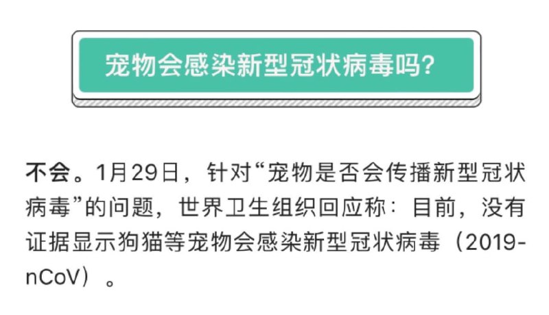 感染新冠的宠物，到目前为止没把病毒回传给人的情况