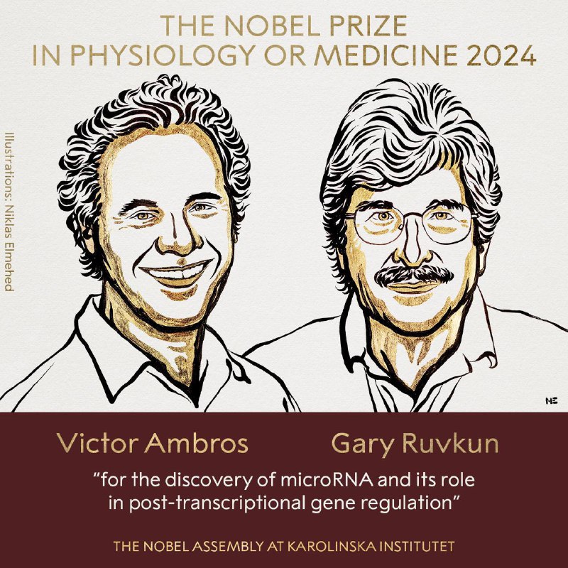 2024年诺贝尔生理学或医学奖公布2024年诺贝尔生理学或医学奖授予Victor Ambros和Gary Ruvkun，表彰其发现microRNA及其在基因转录后调控中作用的贡献