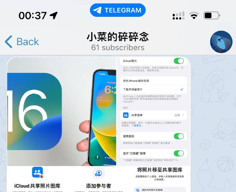 测试版 iOS Telegram 在截图、录频的时候在刘海部位会出现一个Telegram的标志