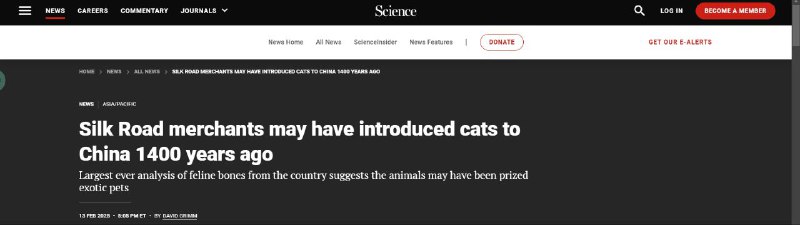 丝路萌宠入华记：家猫或为千年前进口"顶流"猫猫何时进入中国？北大团队最新研究显示，家猫约在1400年前经丝绸之路抵华，比欧洲晚了数百年