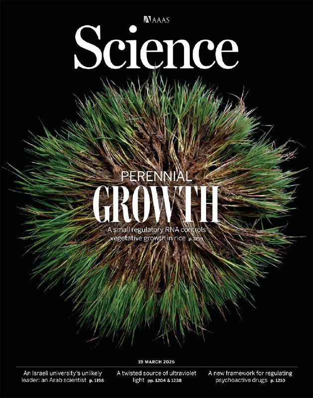 中国科学家培育出长寿水稻，揭开水稻“返老还童”的基因奥秘​中国科学院分子植物卓越中心韩斌院士与王佳伟团队在《科学》（Science）杂志发表封面论文，系统揭示了水稻从多年生向一年生演变的遗传机制，并成功克隆出关键基因位点 EBT1